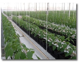 Time Lapse Time Lapse