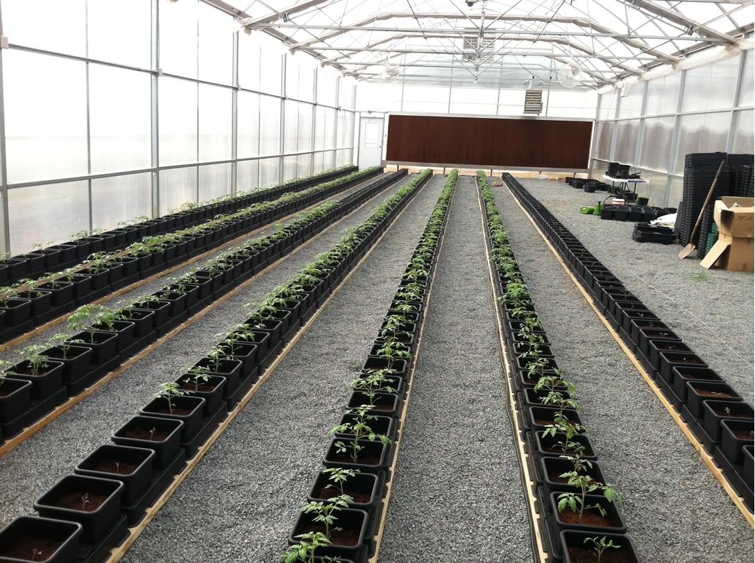 Kennesaw State University Kennesaw State University