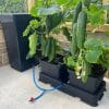 easy 2 grow system kit