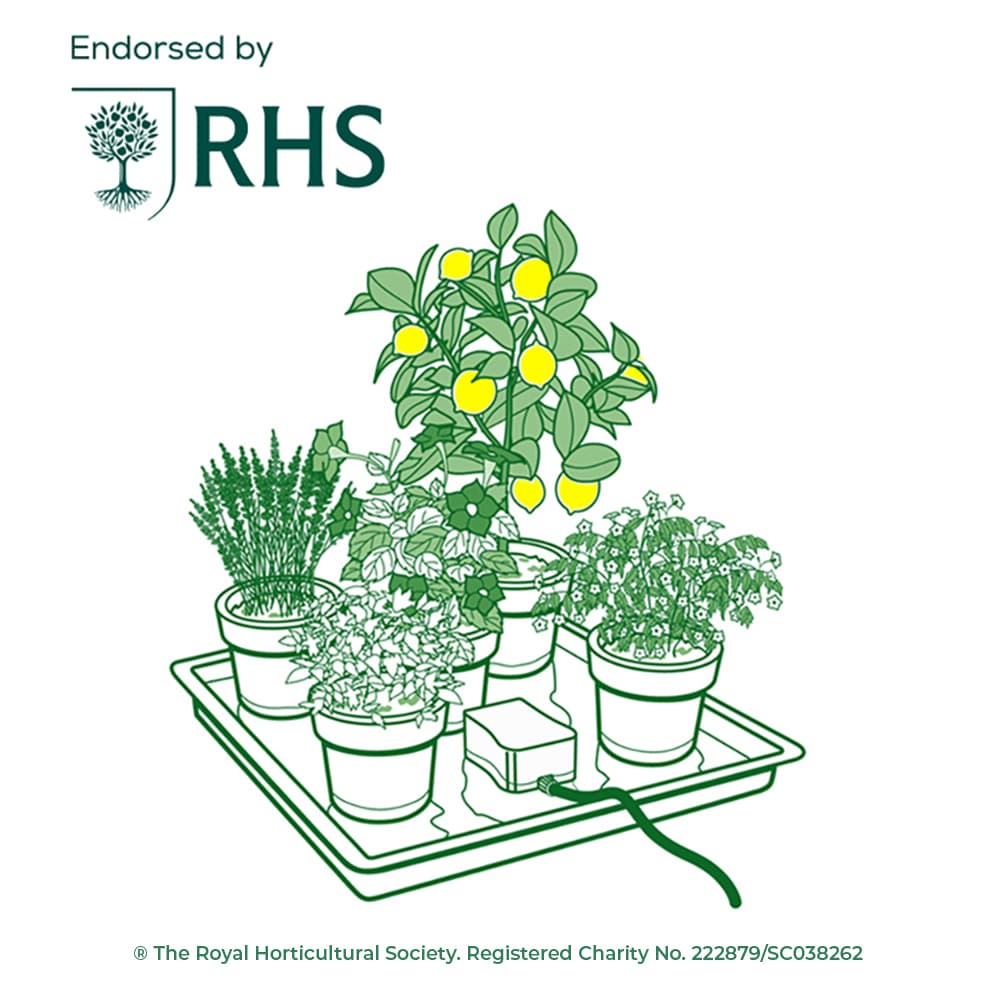 easy2GO_Situ_Line_Drawing_RHS_WEB