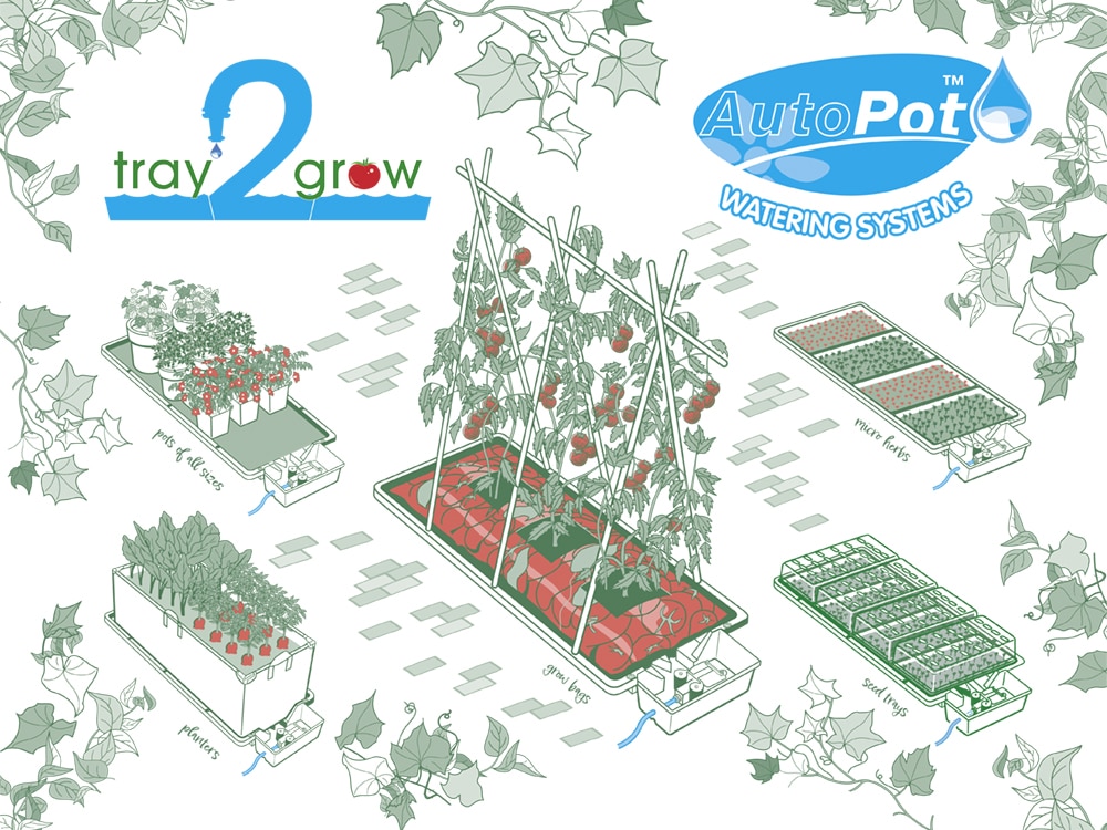 Tray2Grow featured image Autopot UK