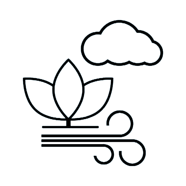 CO2 and Air Pumps