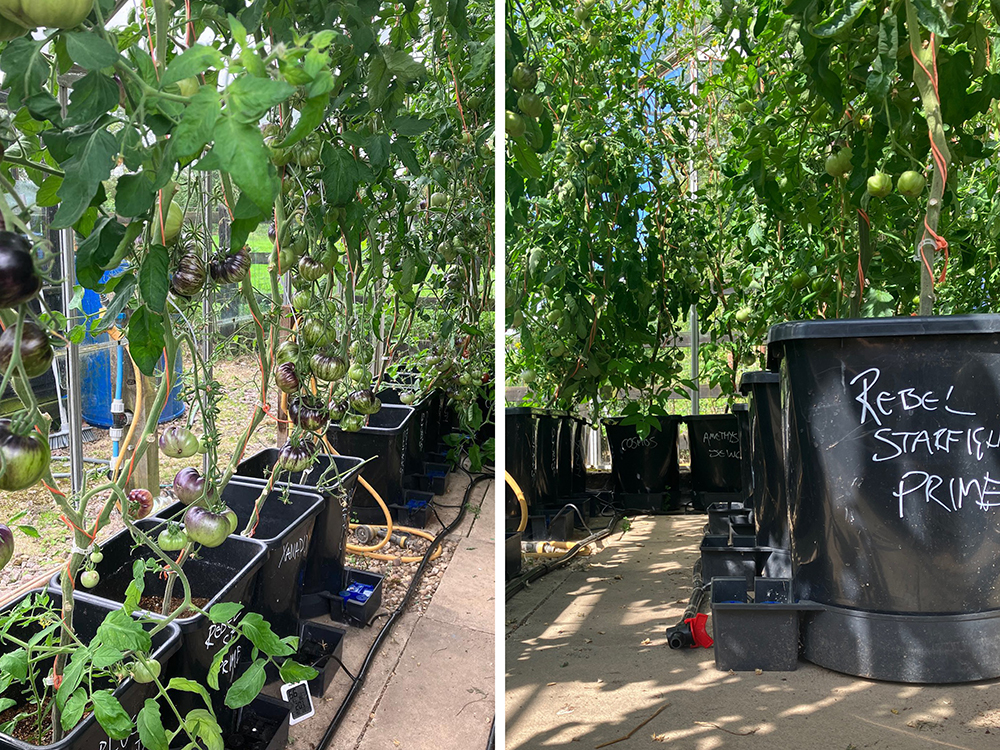 All good stuff - Niall’s AutoPot modules
may not be bang up to date but they remain incredibly effective