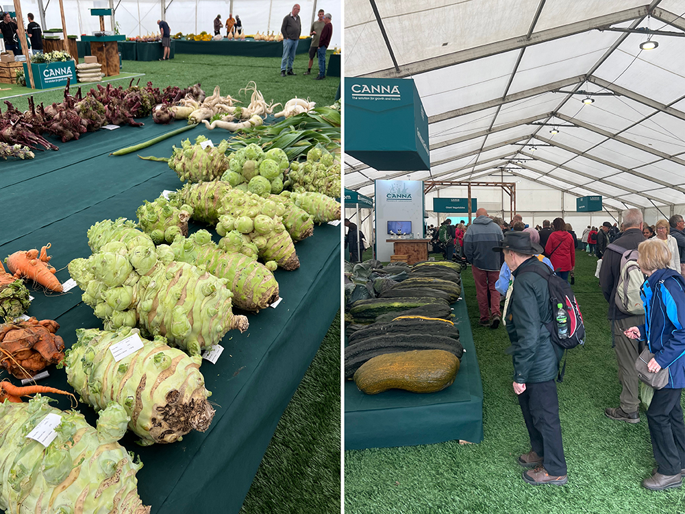 Those veg are very big, those people are faraway. Those people are near, those veg are very big. It’s confusing.