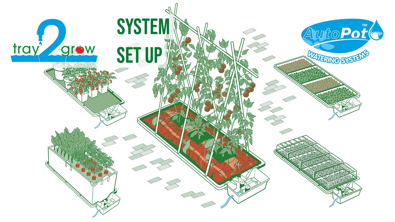 AutoPot Tray2Grow Set Up