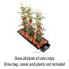 Tray2Grow_Grow_Bag_Tomatoes_Caption_WEB