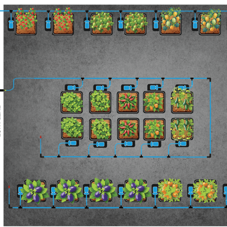 28x1Pot featured