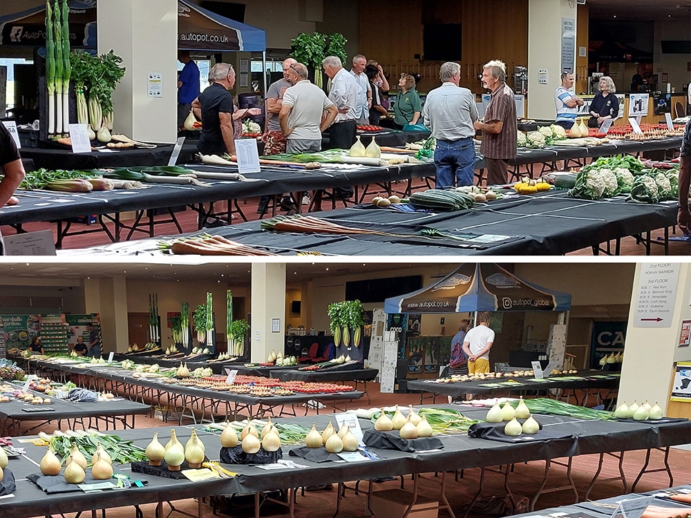 A veritable vegetable vista, entries vie for attention upon the trestles