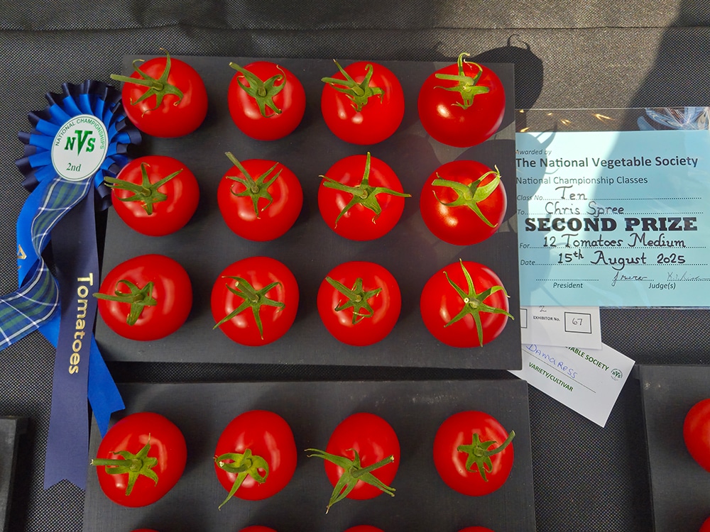 Silver for Chris Spree’s AutoPot-grown Damaress tomatoes!