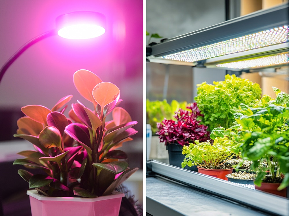 See the light! LED can be both stylish, functional, and actually enhance your living space