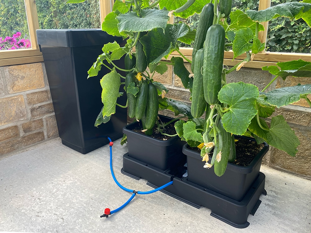 Simple, efficient, and highly productive - just a few selling points
of AutoPot that Ian will be keen to foreground